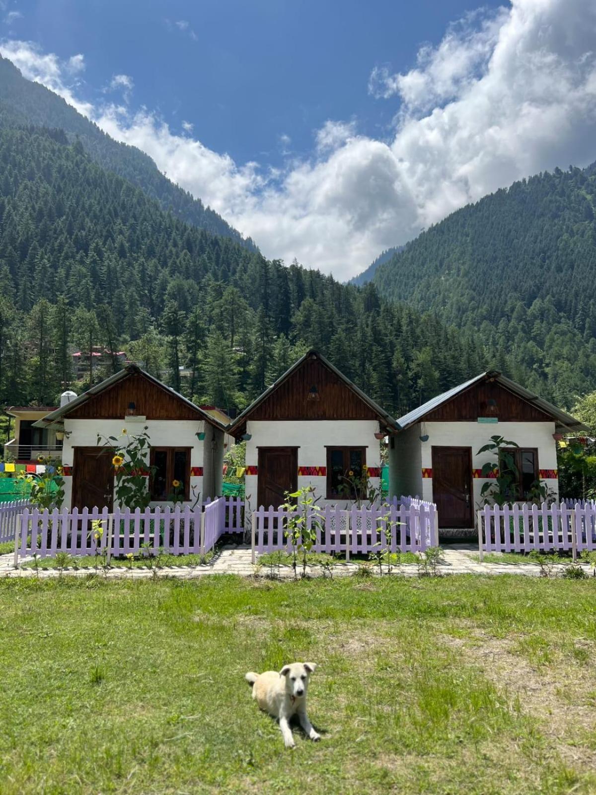 Himtrek Stay Kasol Exterior foto